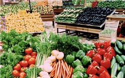 Xuất khẩu rau quả tăng cao kỷ lục