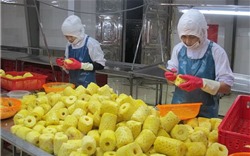 Việt Nam ngày càng chú trọng nâng cao chất lượng thực phẩm