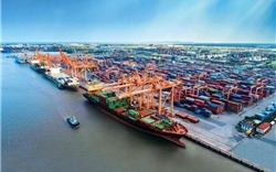 Đề xuất đầu tư hơn 850 triệu USD xây cảng trung chuyển container quốc tế Cần Giờ