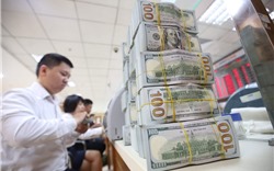 Việt Nam có nhiều thuận lợi để tăng dự trữ ngoại hối