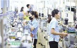 Thúc đẩy vốn FDI từ Hàn Quốc vào Việt Nam