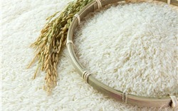 Xuất khẩu gạo sẽ đạt 7 triệu tấn gạo năm 2022