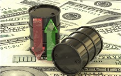 Giá xăng dầu hôm nay 19/5: Giá dầu thế giới biến động trái chiều