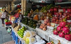 Hà Nội: Đến tháng 6-2022, 100% cửa hàng bán trái cây có đăng ký kinh doanh