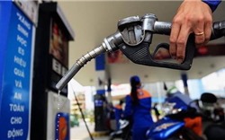  Nghiên cứu giảm thuế tiêu thụ đặc biệt trong trường hợp giá dầu thế giới biến động lớn