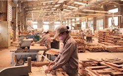 Nửa đầu năm 2022, xuất khẩu gỗ và sản phẩm gỗ sẽ tăng 8%