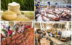 Xuất khẩu nông lâm thủy sản hướng đến mục tiêu 54 tỷ USD