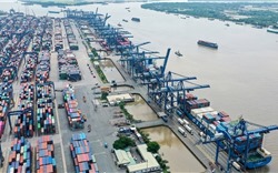 TP.HCM: Dự kiến thu phí hạ tầng cảng biển khoảng 16.000 tỷ trong 5 năm