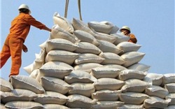 Gạo xuất khẩu của Việt Nam tăng giá