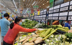 TP Hồ Chí Minh khởi động chương trình mua sắm tập trung lớn nhất năm