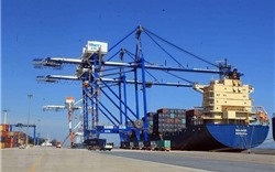 Hơn 236 triệu tấn hàng hóa qua cảng biển trong 4 tháng