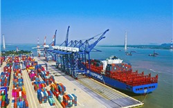 Doanh nghiệp vận tải biển tiếp đà tăng trưởng