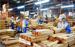 Xuất khẩu gỗ và sản phẩm gỗ sụt giảm tháng thứ ba liên tiếp