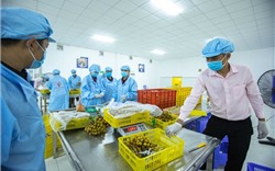 Kim ngạch xuất khẩu của Việt Nam sang Mỹ đạt gần 110 tỷ USD