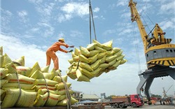 Giá xuất khẩu gạo Việt sẽ cao đến hết năm 2022