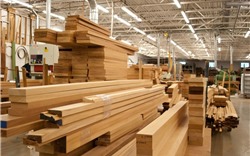 Xuất khẩu gỗ sang Anh giảm 46%