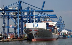 BSC hạ dự báo tăng trưởng xuất nhập khẩu năm 2023