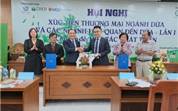 Tăng cường hợp tác phát triển ngành dừa Việt Nam