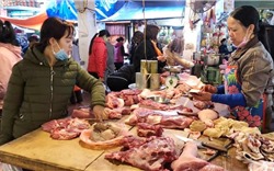 Giá thịt lợn dịp Tết Nhâm Dần sẽ không tăng đột biến