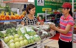 Hà Nội: Tháo gỡ “điểm nghẽn” trong khâu tiêu thụ sản phẩm OCOP