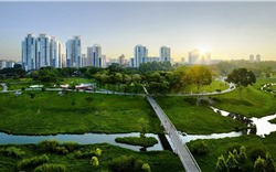 Giảm phát thải khí nhà kính vì một thành phố ‘xanh’