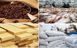 Kim ngạch xuất khẩu nông, lâm, thủy sản tăng gần 12%