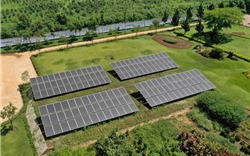 Vinamilk đầu tư hệ thống năng lượng mặt trời tại 12 trang trại trên cả nước