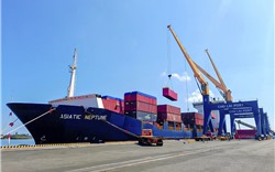 Cảng Chu Lai tiếp tục xuất khẩu giấy cho doanh nghiệp Lào
