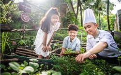 Khánh Hòa phát động chương trình “Hành động xanh - Vì tương lai xanh“