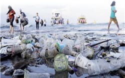 Rác thải nhựa có thể sẽ tồn tại trong đại dương lâu hơn chúng ta nghĩ