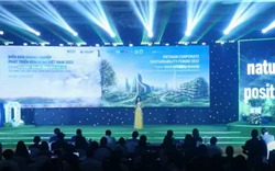 Khai mạc diễn đàn Doanh nghiệp Phát triển bền vững Việt Nam 2023