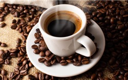 Giá cà phê hôm nay 6/9: Giảm nhẹ tại nhiều địa phương