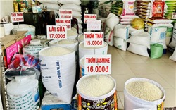 Giá lúa gạo hôm nay 26/9: Điều chỉnh nhẹ với mặt hàng lúa