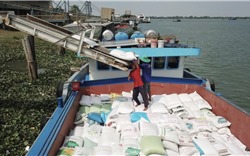 Một quốc gia Đông Nam Á tăng nhập khẩu gạo Việt Nam gấp 53 lần