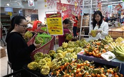 Triển vọng sáng cho thị trường bán lẻ Việt Nam trong năm 2020