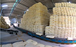Xuất khẩu gạo trong mùa dịch Covid-19: Nên chủ động đón "sóng" tăng giá