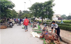 Ngoại thành Hà Nội: Nhiều người chủ quan, lơ là trong phòng dịch Covid-19