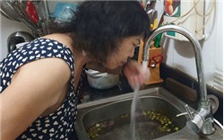 Hà Nội khuyến cáo người dân không ăn, uống nước nhiễm dầu thải