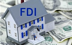 FDI vào bất động sản leo thang và nỗi lo “cá lớn nuốt cá bé”