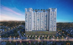 Chủ đầu tư dự án căn hộ chuẩn xanh quốc tế đầu tiên tại Quy Nhơn là ai? 