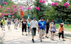 Lượng khách quốc tế đến Việt Nam trong tháng 11 đạt con số kỷ lục