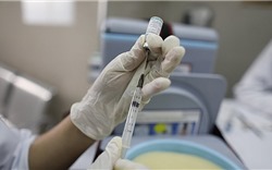 WHO cảnh báo dịch Covid-19 diễn biến xấu, khả năng 1 năm nữa mới có vắcxin 