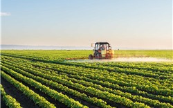 Cần hành lang pháp lý cho thị trường bất động sản nông nghiệp phát triển