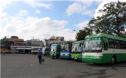  TP.HCM dự kiến mở 6 tuyến buýt mini loại 17 ghế ngồi
