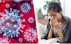 Cách phân biệt virus Corona và cảm lạnh thông thường