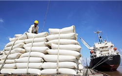 Giá gạo &#39;lên đỉnh&#39; sau 9 năm, Philippines mua hơn 1/3 gạo Việt Nam sản xuất được