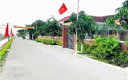 Hà Nội ban hành Bộ tiêu chí khu dân cư nông thôn mới kiểu mẫu, vườn mẫu