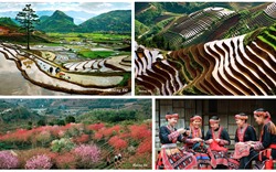 3 địa điểm du lịch trải nghiệm nổi tiếng ở Yên Bái 