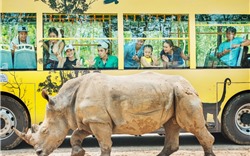 Vinpearl Safari đăng cai tổ chức hội nghị bảo tồn động vật lớn nhất Đông Nam Á