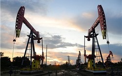 Giá dầu tiếp tục xu hướng giảm